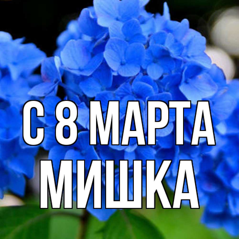 Открытка на каждый день с именем, Мишка C 8 МАРТА синие цветы Прикольная открытка с пожеланием онлайн скачать бесплатно 