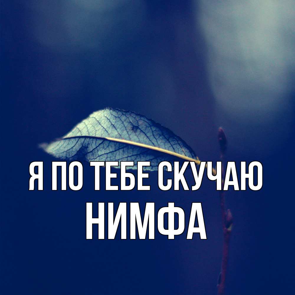 Открытка на каждый день с именем, Нимфа Я по тебе скучаю одна ветка 1 Прикольная открытка с пожеланием онлайн скачать бесплатно 