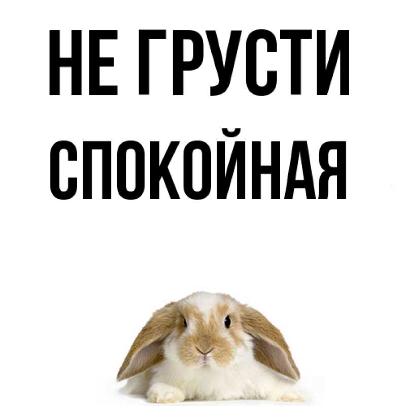 Картинка Не грусти, спокойная