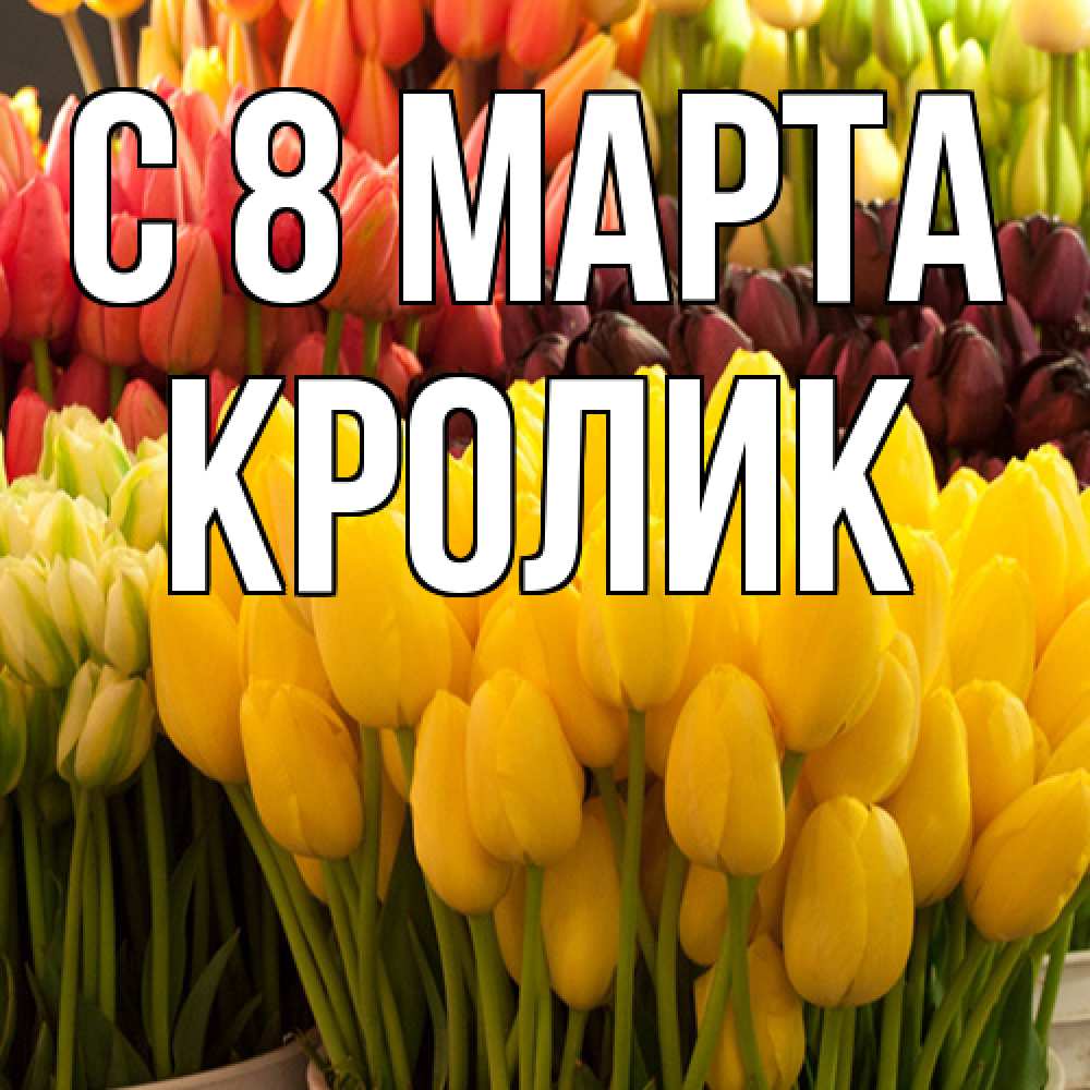 Открытка на каждый день с именем, кролик C 8 МАРТА цветы Прикольная открытка с пожеланием онлайн скачать бесплатно 