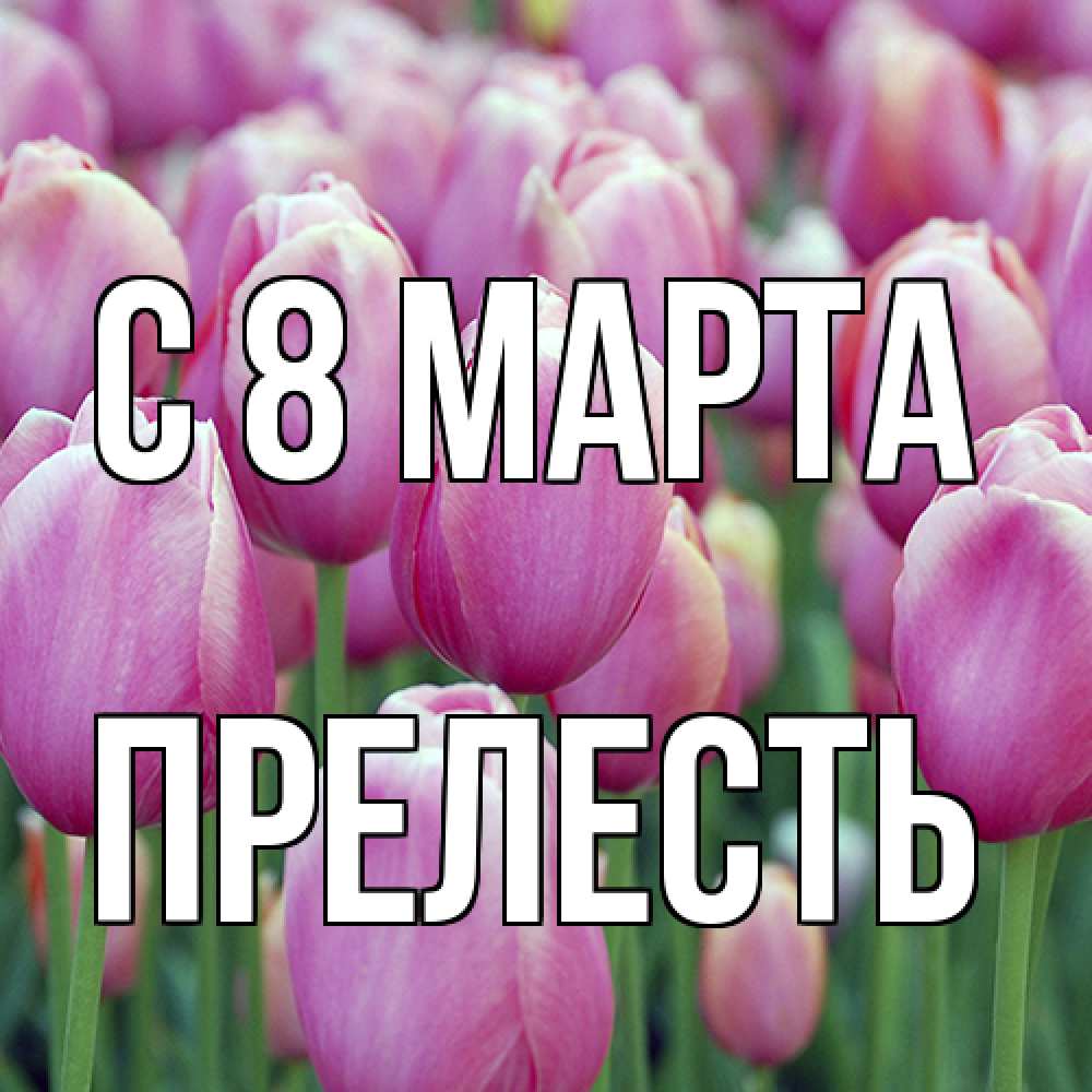 Открытка на каждый день с именем, прелесть C 8 МАРТА на международный женский день 3 Прикольная открытка с пожеланием онлайн скачать бесплатно 