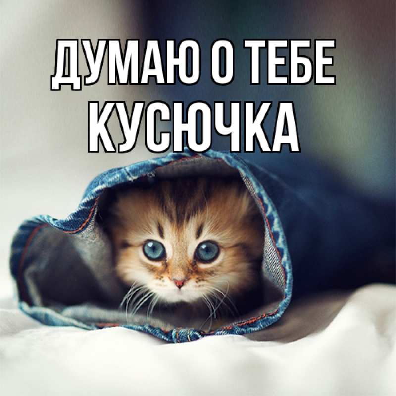 Картинка Думаю о тебе, Кусючка