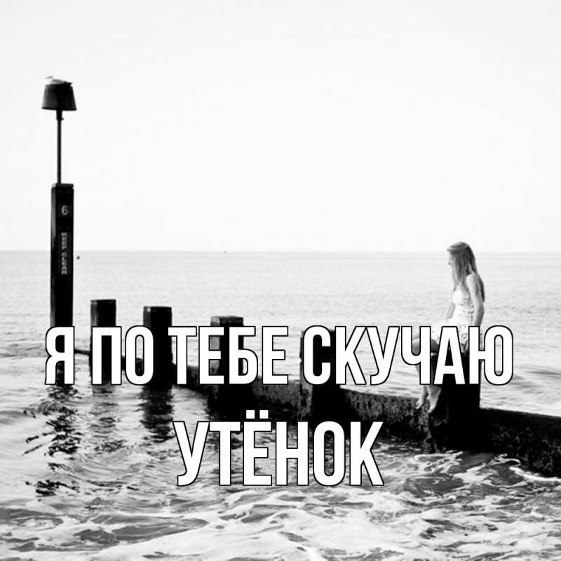 Картинка Я по тебе скучаю, Утёнок