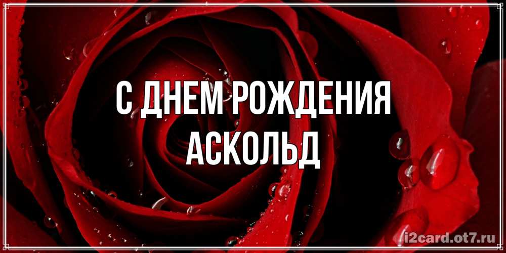 Открытка на каждый день с именем, Аскольд С днем рождения крупная бордовая роза Прикольная открытка с пожеланием онлайн скачать бесплатно 