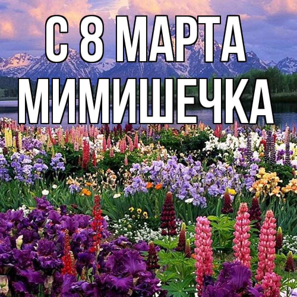Открытка на каждый день с именем, мимишечка C 8 МАРТА международный женский день Прикольная открытка с пожеланием онлайн скачать бесплатно 