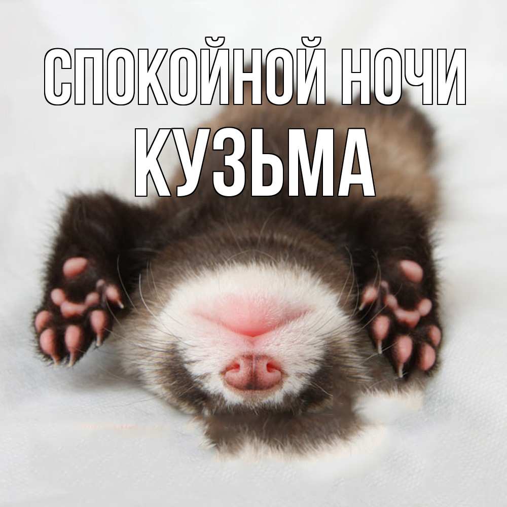 Открытка на каждый день с именем, Кузьма Спокойной ночи зверек Прикольная открытка с пожеланием онлайн скачать бесплатно 