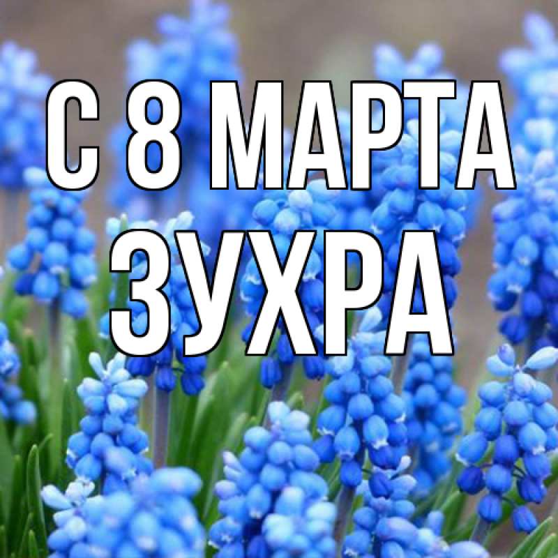 Картинка C 8 МАРТА, Зухра