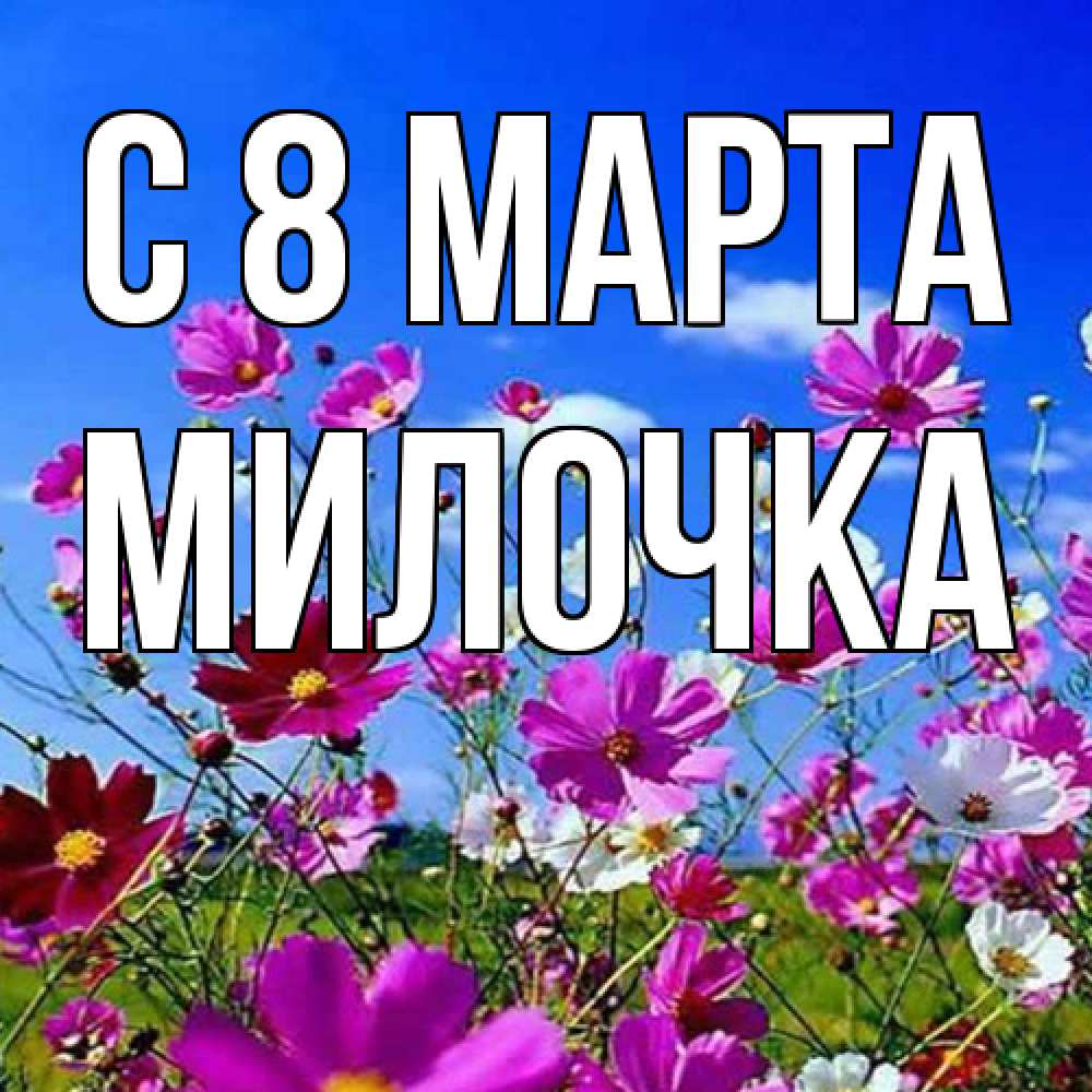 Открытка на каждый день с именем, Милочка C 8 МАРТА цветы Прикольная открытка с пожеланием онлайн скачать бесплатно 