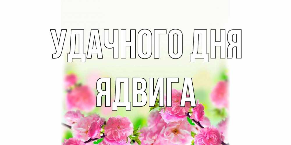 Открытка на каждый день с именем, Ядвига Удачного дня цветы Прикольная открытка с пожеланием онлайн скачать бесплатно 