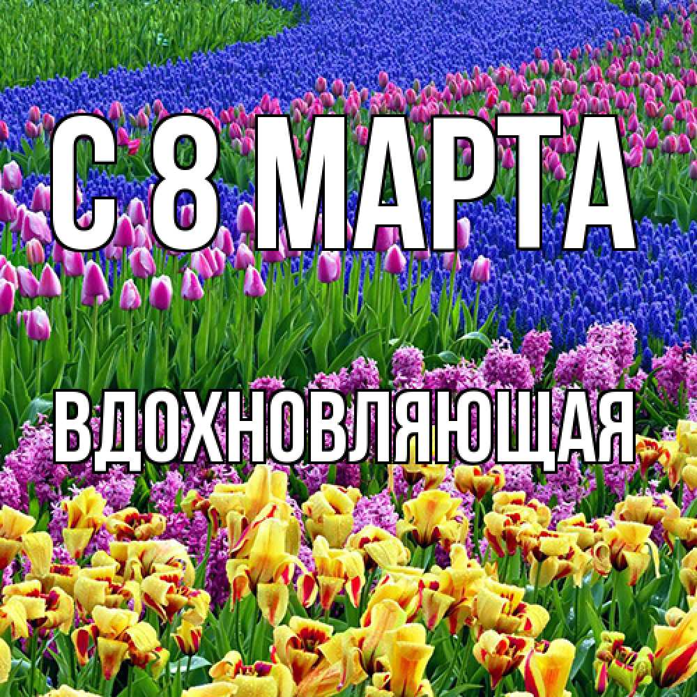 Открытка на каждый день с именем, вдохновляющая C 8 МАРТА цветы Прикольная открытка с пожеланием онлайн скачать бесплатно 