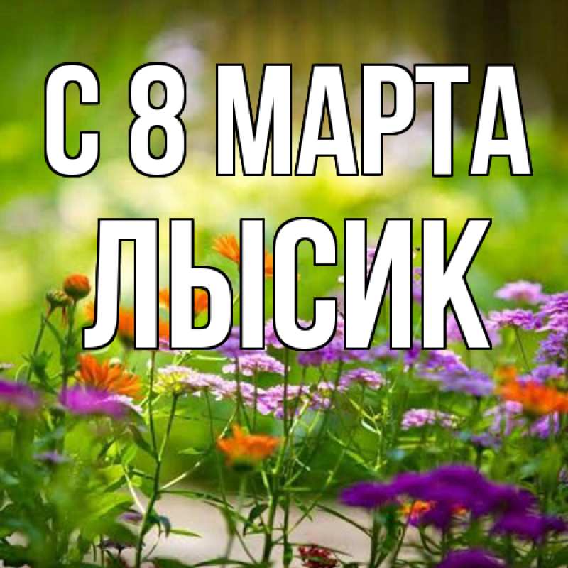 Картинка C 8 МАРТА, Лысик