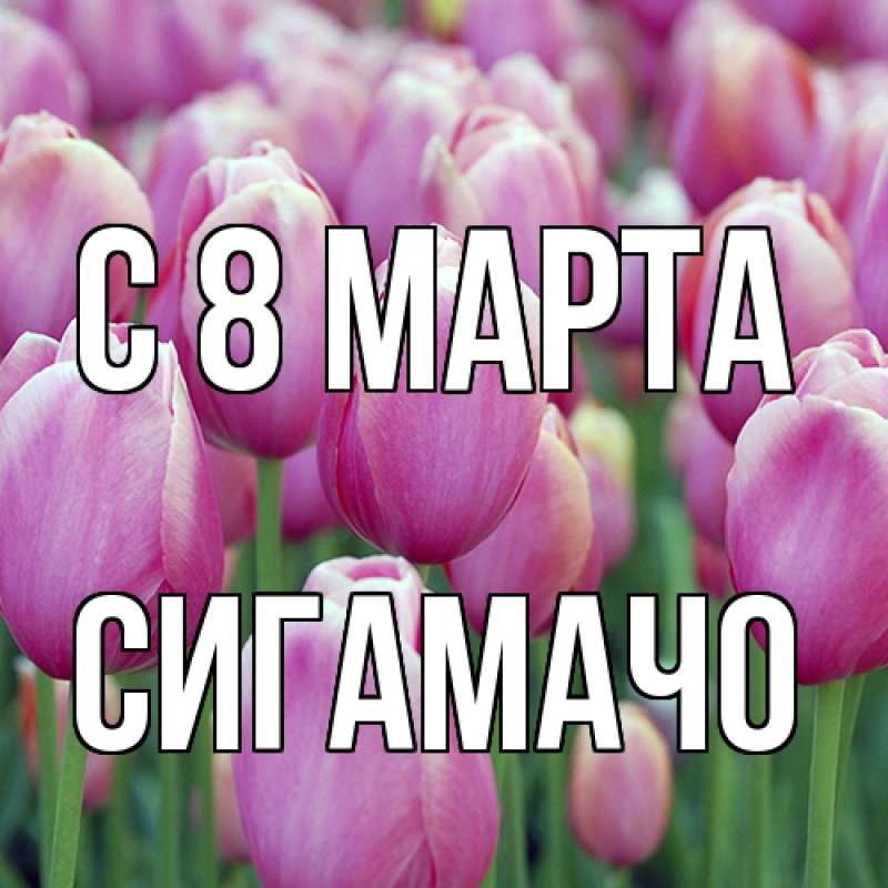 Картинка C 8 МАРТА, Сигамачо
