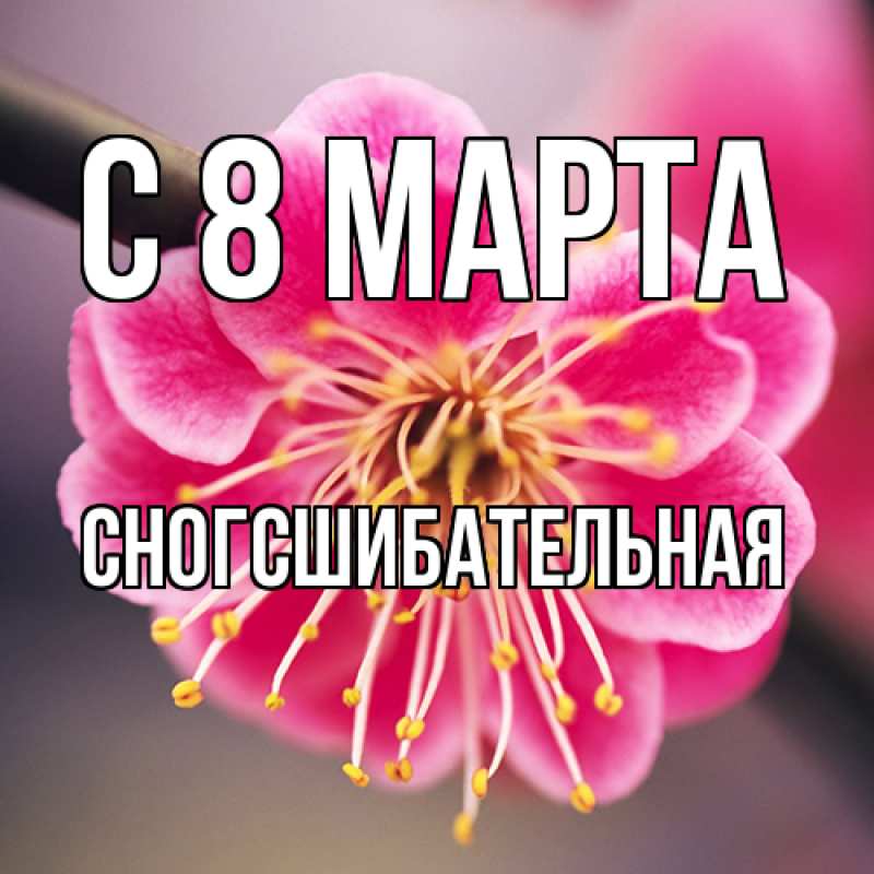 Картинка C 8 МАРТА, сногсшибательная