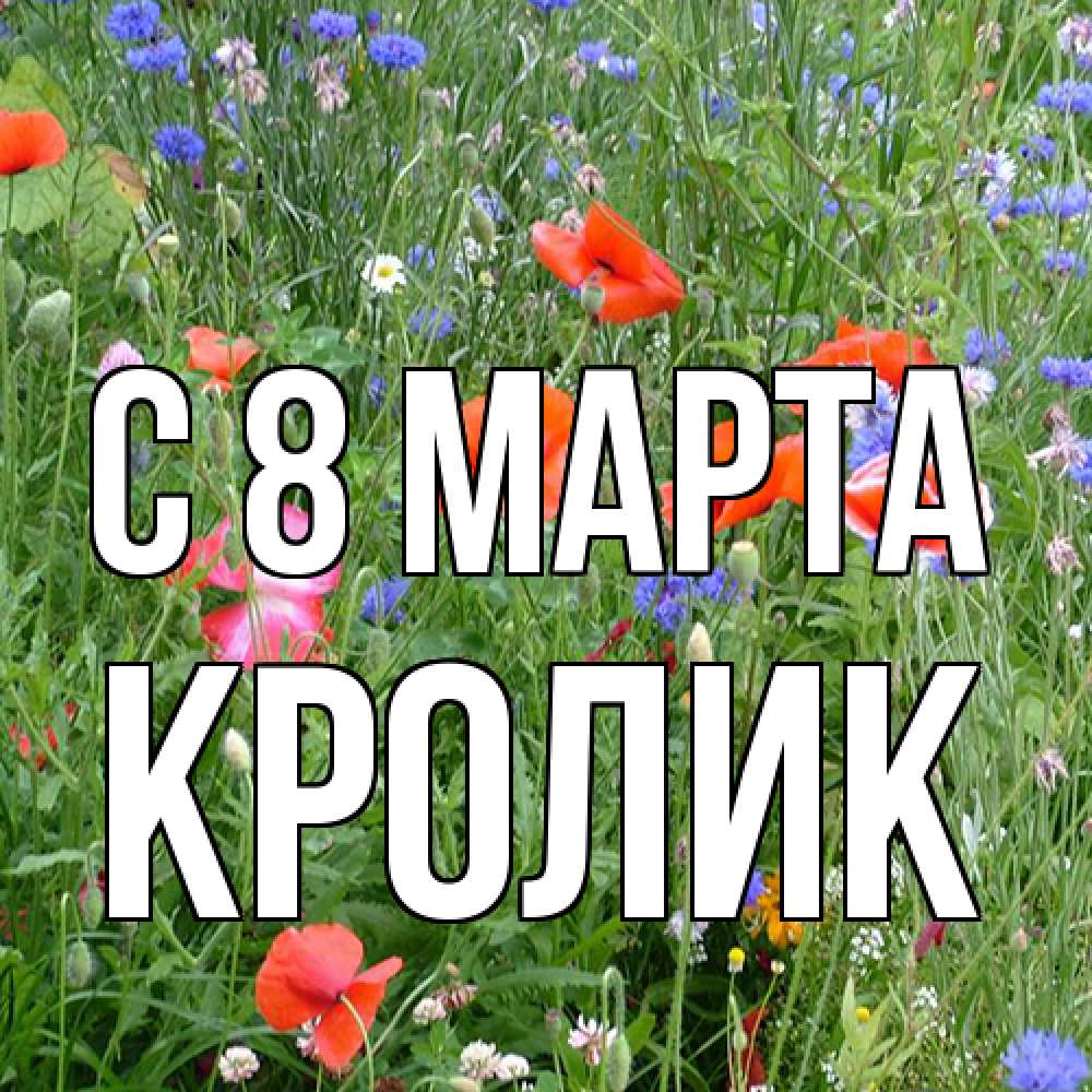 Открытка на каждый день с именем, кролик C 8 МАРТА международный женский день 4 Прикольная открытка с пожеланием онлайн скачать бесплатно 