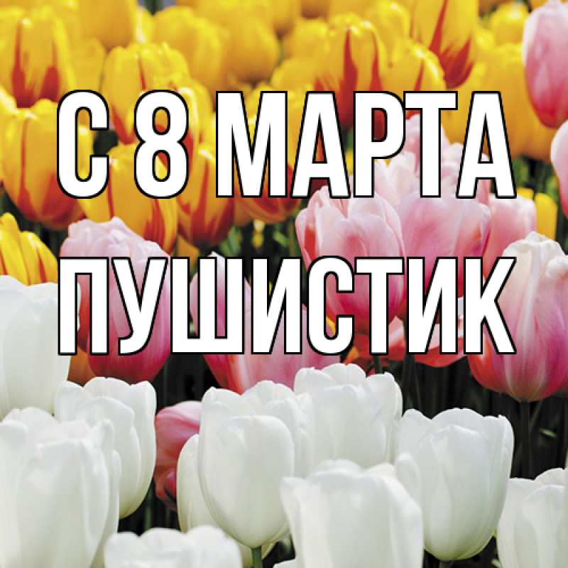 Картинка C 8 МАРТА, Пушистик