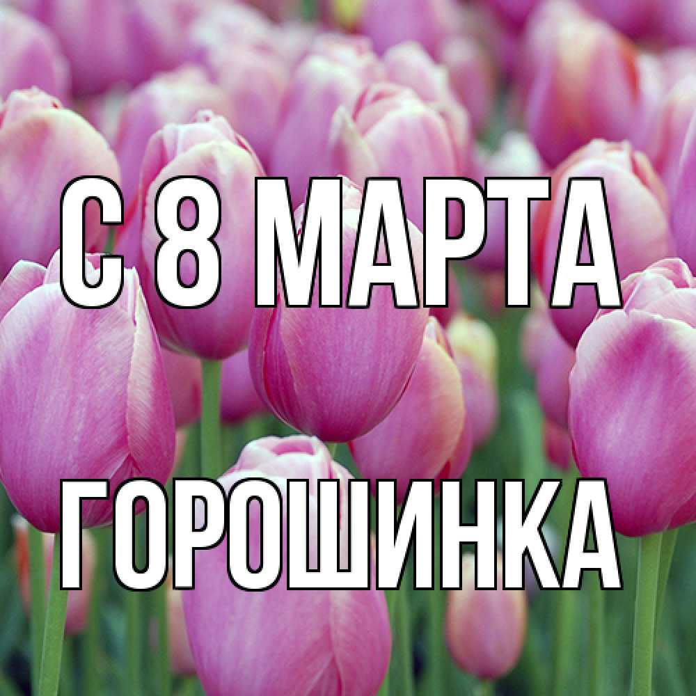 Открытка на каждый день с именем, горошинка C 8 МАРТА на международный женский день 3 Прикольная открытка с пожеланием онлайн скачать бесплатно 