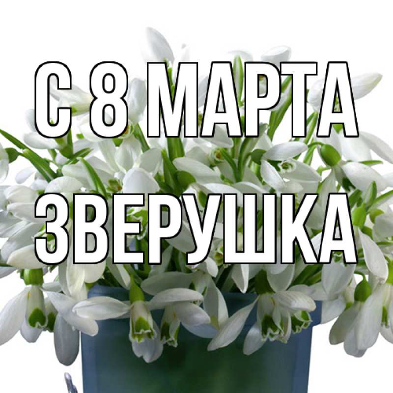 Картинка C 8 МАРТА, Зверушка