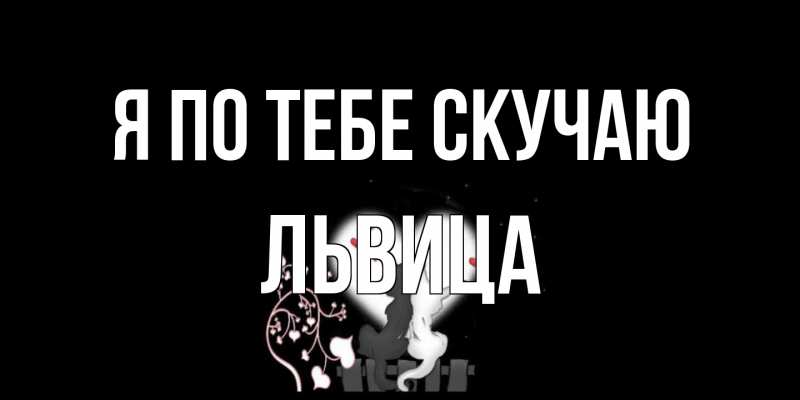 Картинка Я по тебе скучаю, Львица