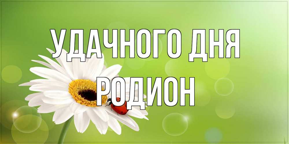 Открытка на каждый день с именем, Родион Удачного дня зеленый фон и ромашка Прикольная открытка с пожеланием онлайн скачать бесплатно 