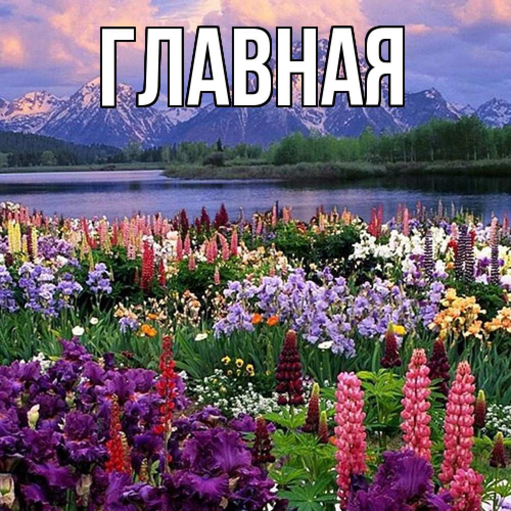 Открытка на каждый день с именем, Анна Главная международный женский день Прикольная открытка с пожеланием онлайн скачать бесплатно 