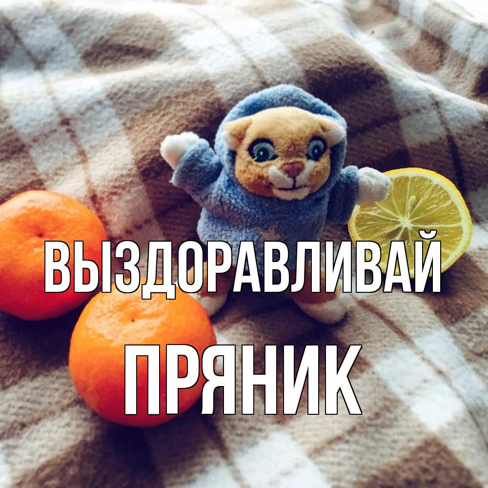 Открытка на каждый день с именем, Пряник Выздоравливай вот тебе апельсинка и лимон Прикольная открытка с пожеланием онлайн скачать бесплатно 