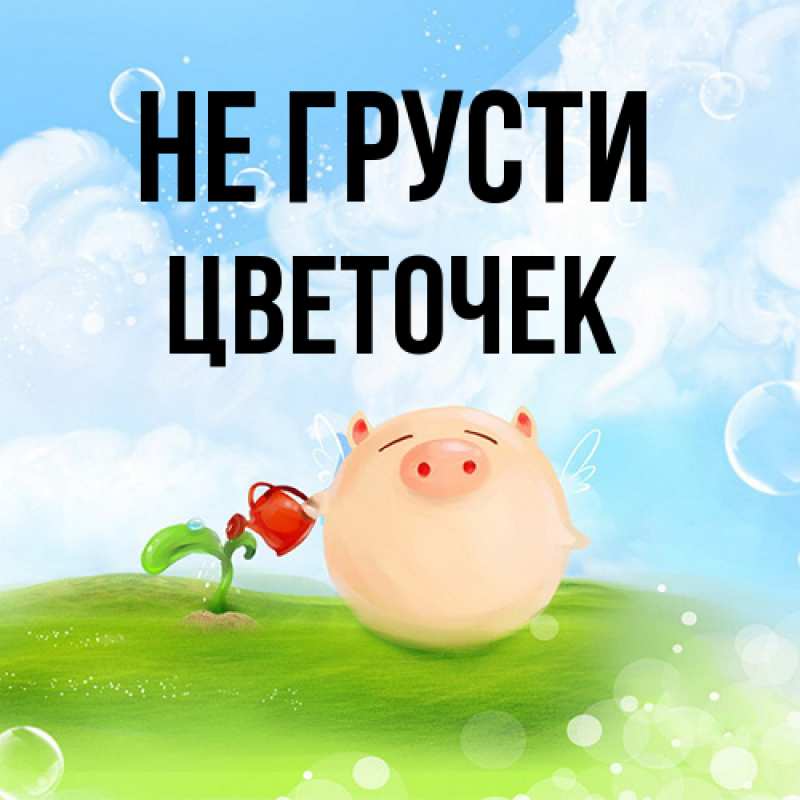 Картинка Не грусти, Цветочек