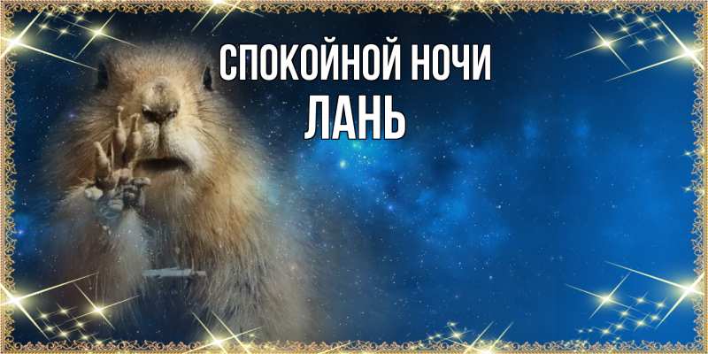 Картинка Спокойной ночи, лань