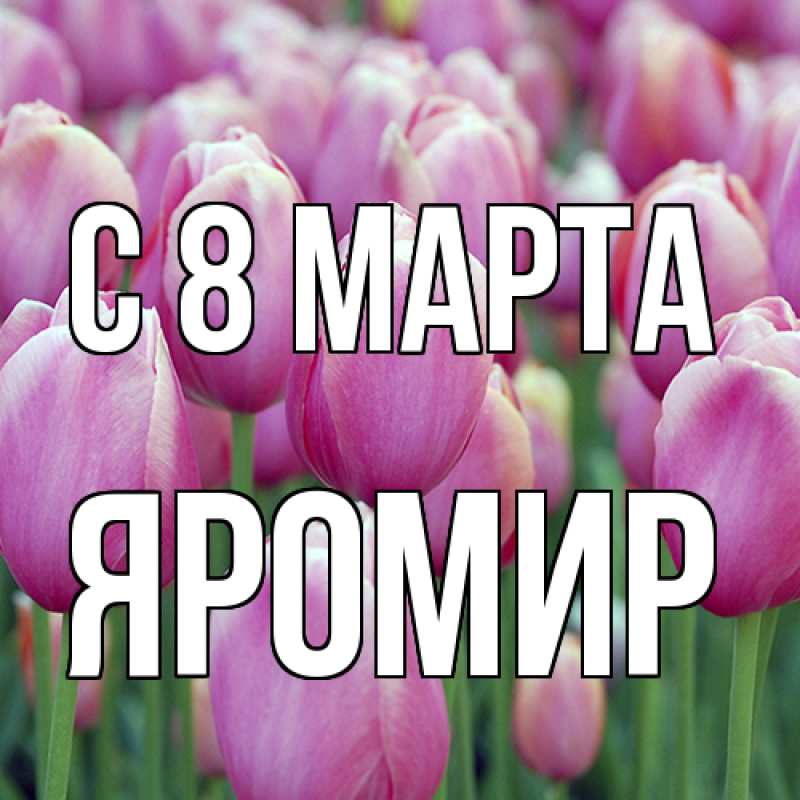Картинка C 8 МАРТА, Яромир
