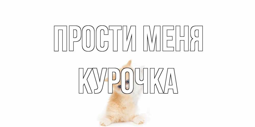 Открытка на каждый день с именем, Курочка Прости меня кот Прикольная открытка с пожеланием онлайн скачать бесплатно 