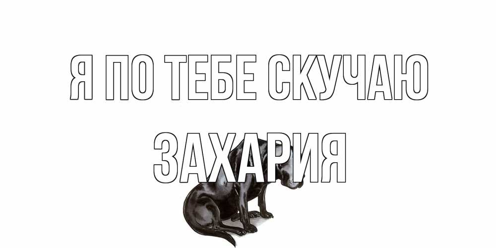 Открытка на каждый день с именем, Захария Я по тебе скучаю я по тебе скучаю открытка с собакой Прикольная открытка с пожеланием онлайн скачать бесплатно 
