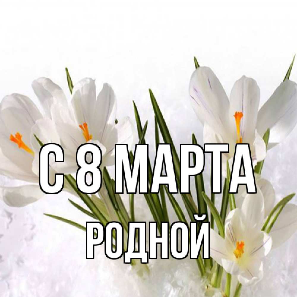 Открытка на каждый день с именем, Родной C 8 МАРТА под снегом Прикольная открытка с пожеланием онлайн скачать бесплатно 