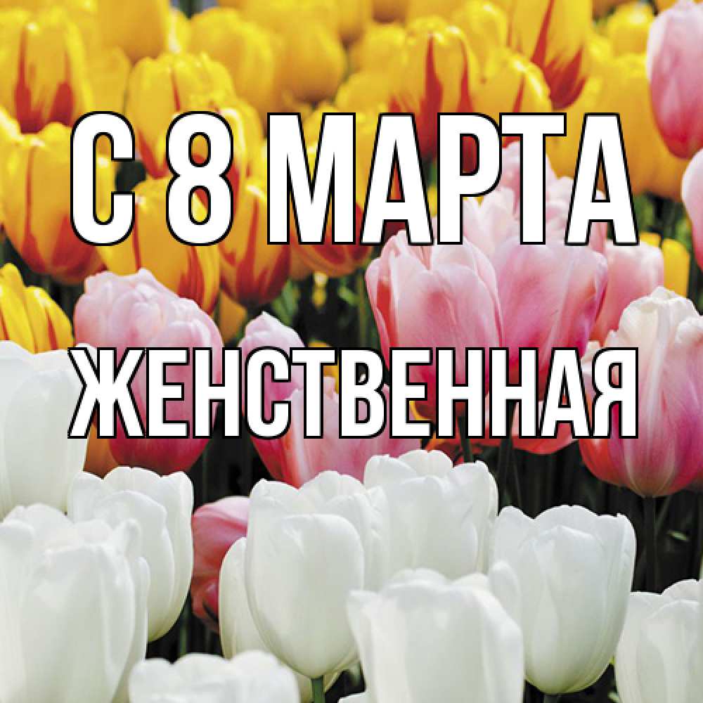 Открытка на каждый день с именем, женственная C 8 МАРТА разноцветные цветы Прикольная открытка с пожеланием онлайн скачать бесплатно 