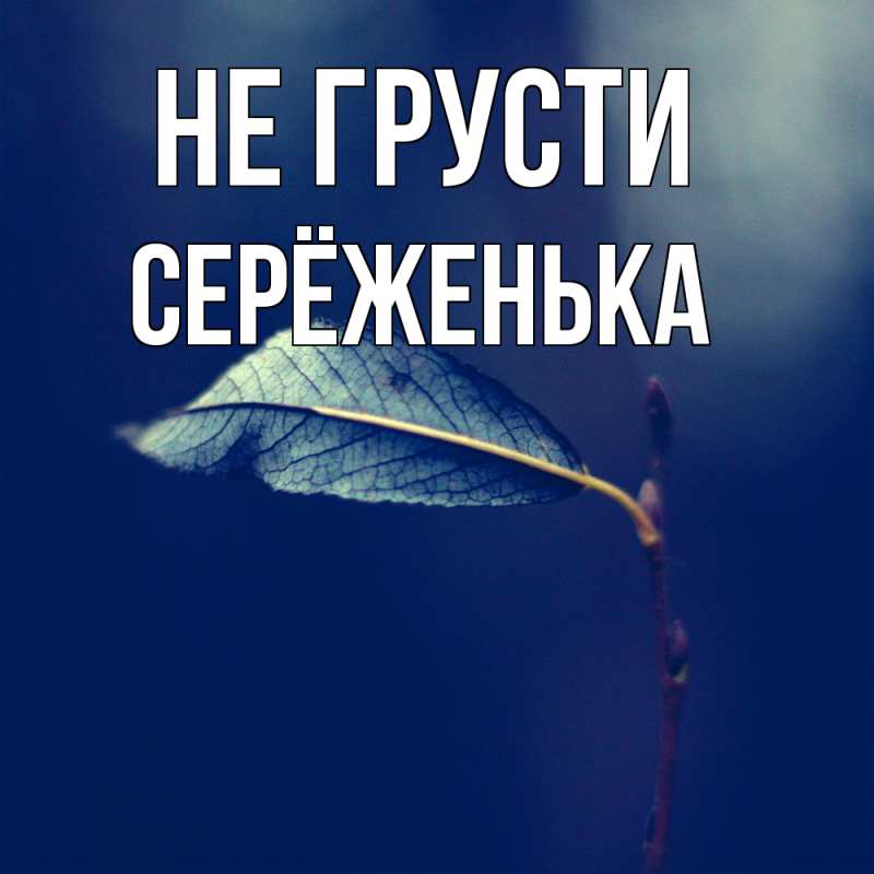 Картинка Не грусти, Серёженька