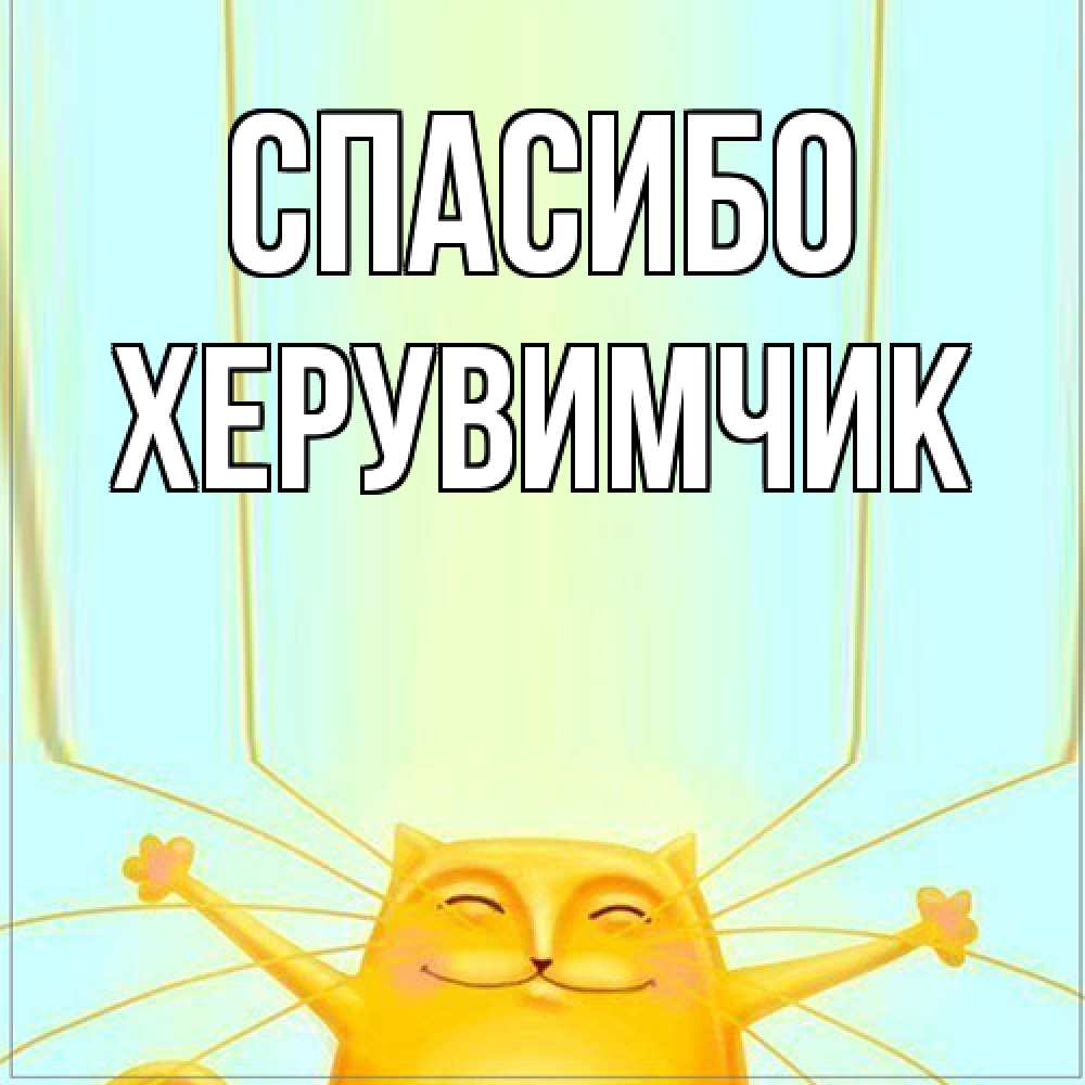 Открытка на каждый день с именем, Хеpувимчик Спасибо кот с усами благодарит Прикольная открытка с пожеланием онлайн скачать бесплатно 