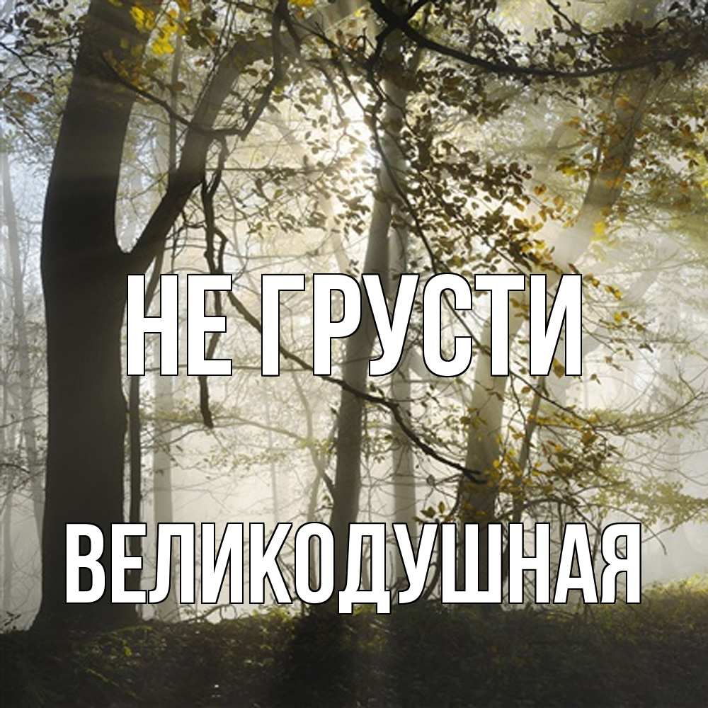 Открытка на каждый день с именем, великодушная Не грусти лес и свет Прикольная открытка с пожеланием онлайн скачать бесплатно 