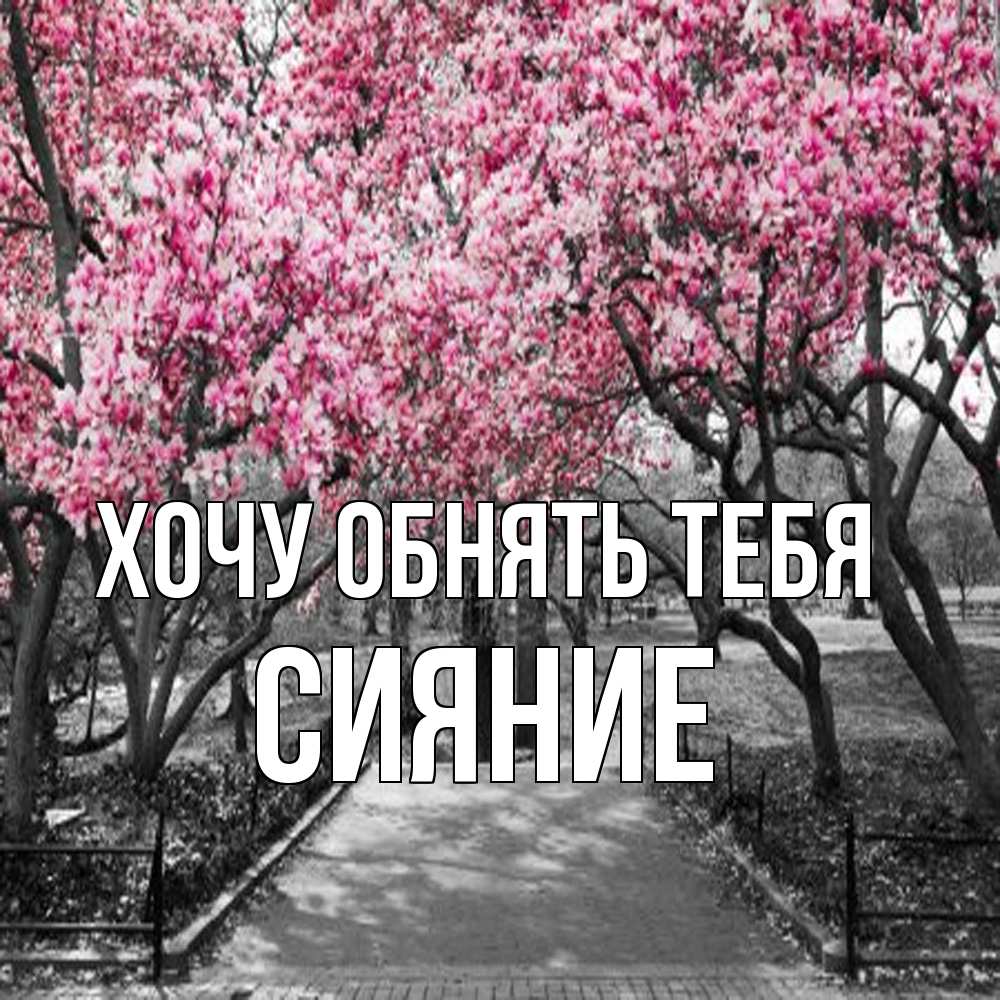 Открытка на каждый день с именем, Сияние Хочу обнять тебя обработанное фото Прикольная открытка с пожеланием онлайн скачать бесплатно 