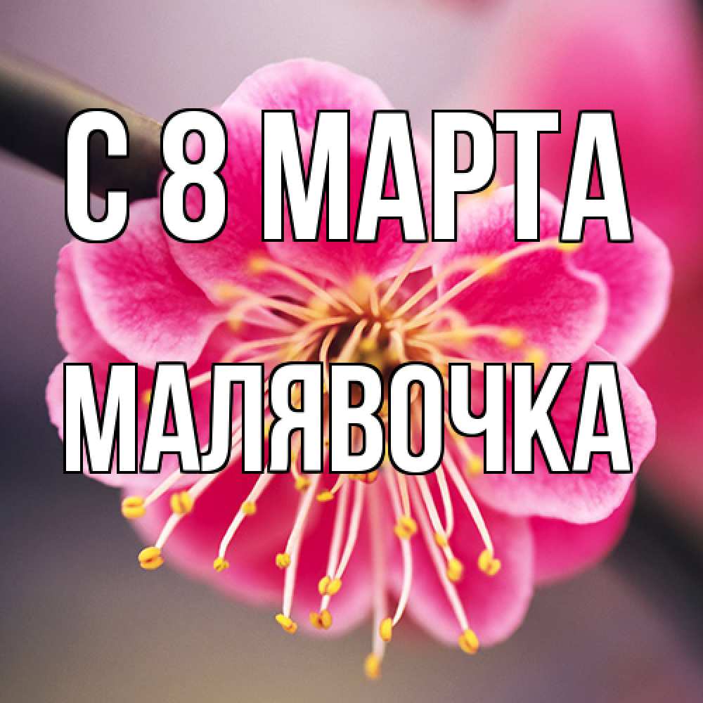 Открытка на каждый день с именем, малявочка C 8 МАРТА цветы Прикольная открытка с пожеланием онлайн скачать бесплатно 