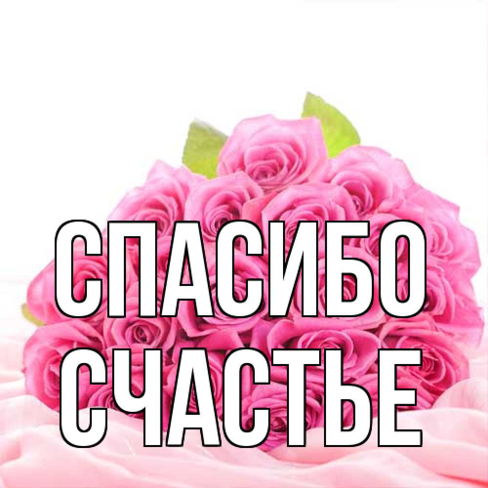 Открытка на каждый день с именем, счастье Спасибо розовые розы с подписью Прикольная открытка с пожеланием онлайн скачать бесплатно 