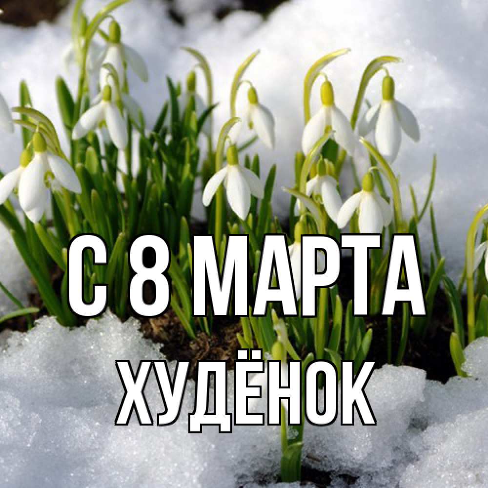 Открытка на каждый день с именем, худёнок C 8 МАРТА цветы весенние Прикольная открытка с пожеланием онлайн скачать бесплатно 