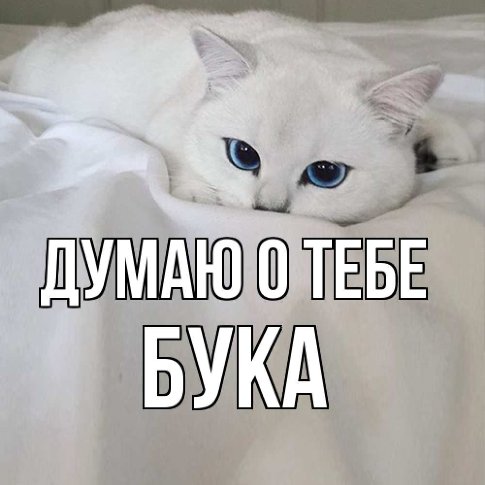 Открытка на каждый день с именем, Бука Думаю о тебе я очень по тебе скучаю и тоскую Прикольная открытка с пожеланием онлайн скачать бесплатно 