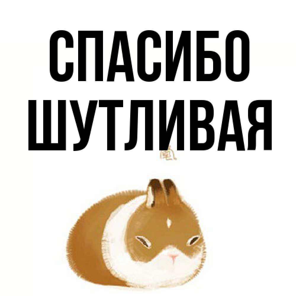 Открытка на каждый день с именем, Шутливая Спасибо коричнево белый домашний питомец Прикольная открытка с пожеланием онлайн скачать бесплатно 