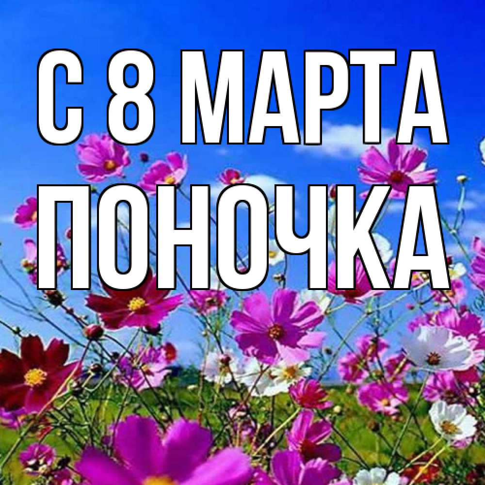 Открытка на каждый день с именем, поночка C 8 МАРТА цветы Прикольная открытка с пожеланием онлайн скачать бесплатно 