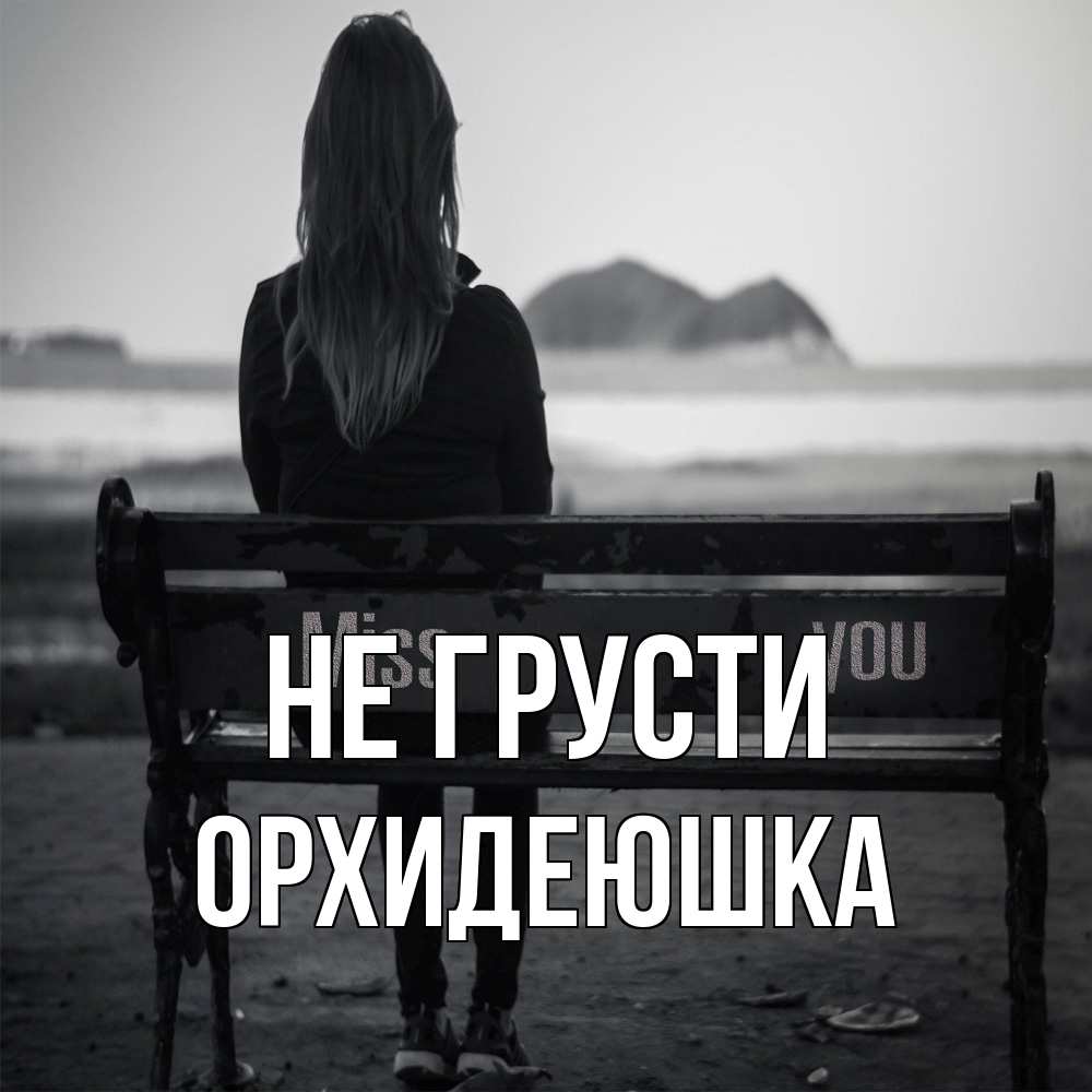 Открытка на каждый день с именем, Орхидеюшка Не грусти смотрит на скалы Прикольная открытка с пожеланием онлайн скачать бесплатно 