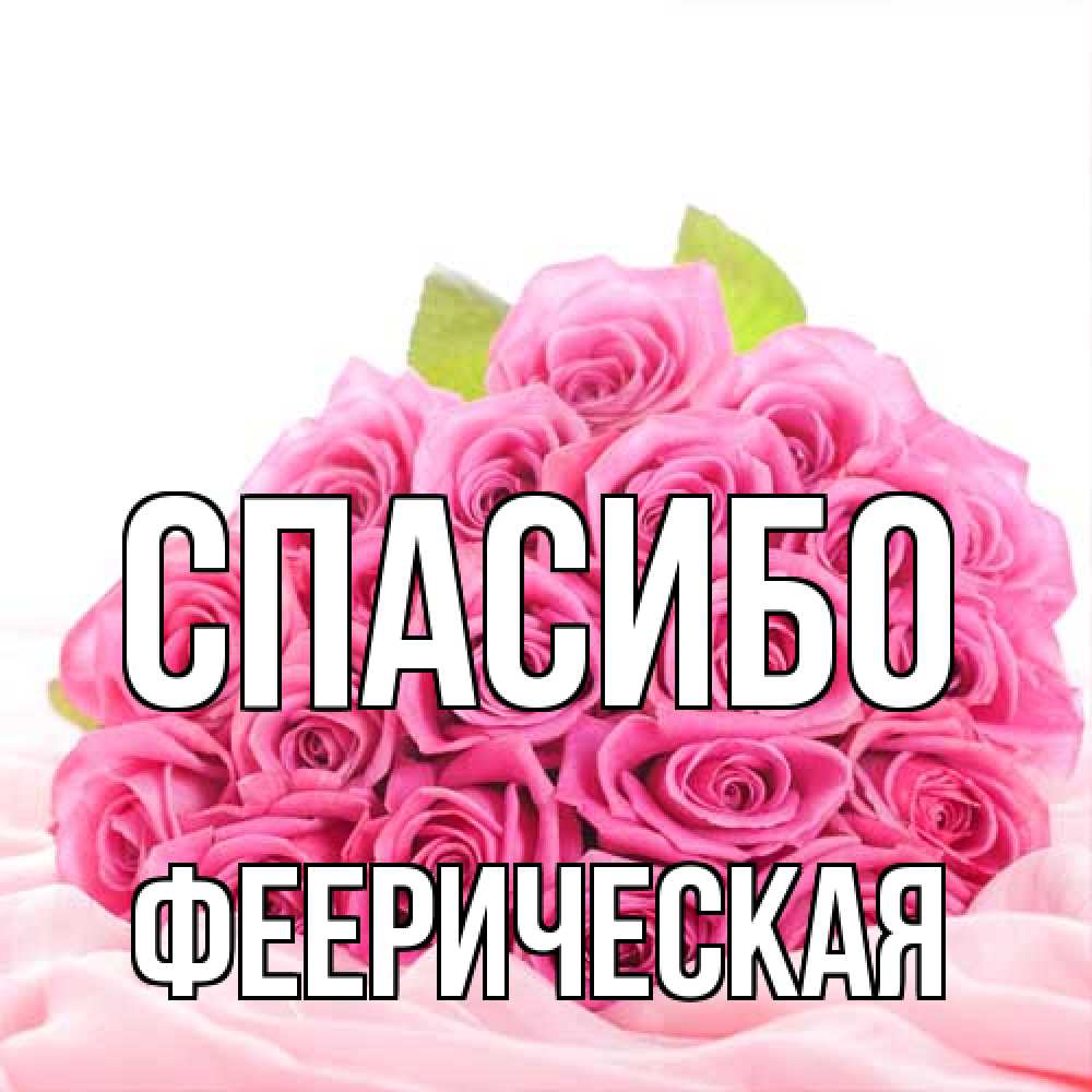 Открытка на каждый день с именем, феерическая Спасибо розовые розы с подписью Прикольная открытка с пожеланием онлайн скачать бесплатно 