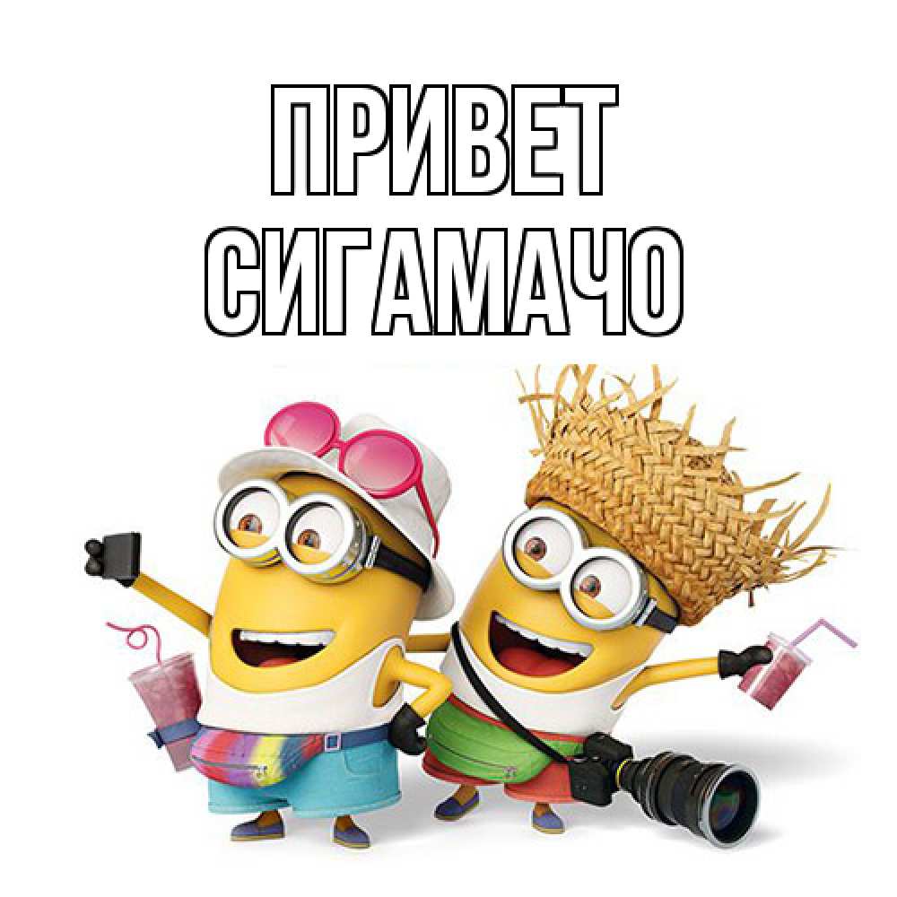 Открытка на каждый день с именем, Сигамачо Привет привет от желтеньких Прикольная открытка с пожеланием онлайн скачать бесплатно 