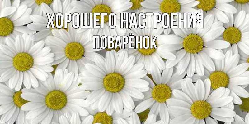 Картинка Хорошего настроения, Поварёнок