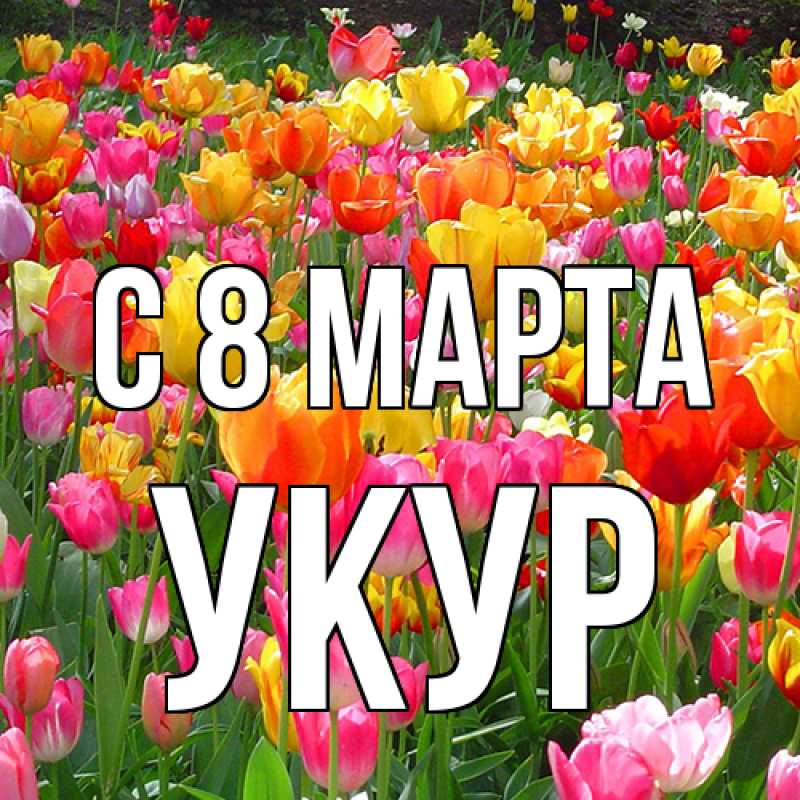 Картинка C 8 МАРТА, Укур