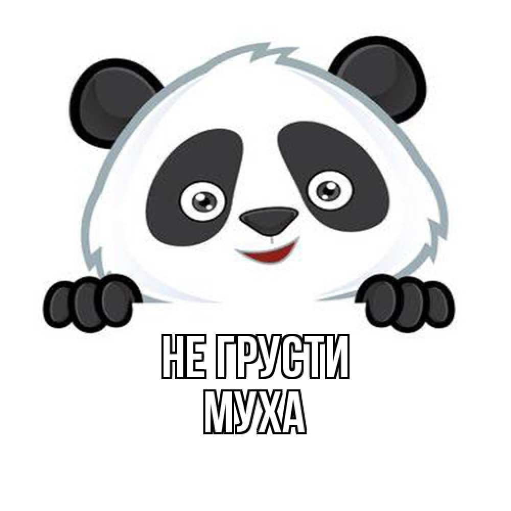 Открытка на каждый день с именем, Муха Не грусти картинки с пандами Прикольная открытка с пожеланием онлайн скачать бесплатно 