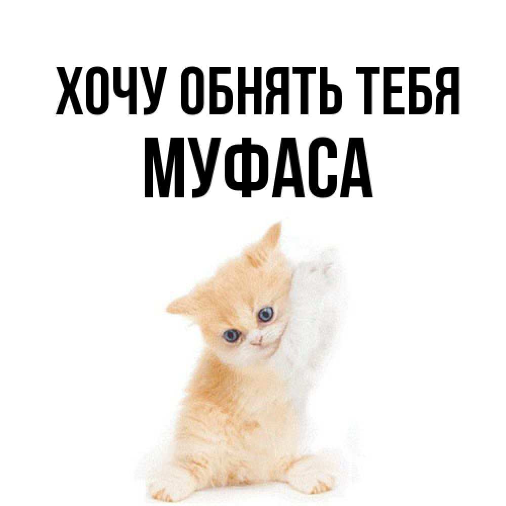 Открытка на каждый день с именем, Муфаса Хочу обнять тебя я хочу очень скорее обнимаешек Прикольная открытка с пожеланием онлайн скачать бесплатно 