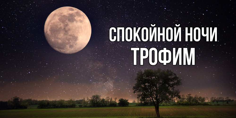 Открытка на каждый день с именем, Трофим Спокойной ночи ночные открытки с луной Прикольная открытка с пожеланием онлайн скачать бесплатно 
